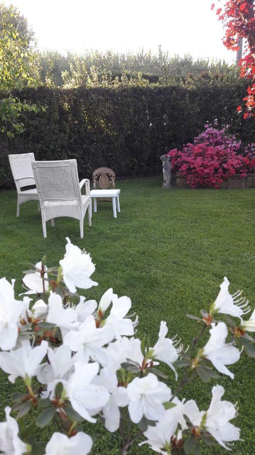 Appartement Il Volo à Lucques Extérieur photo